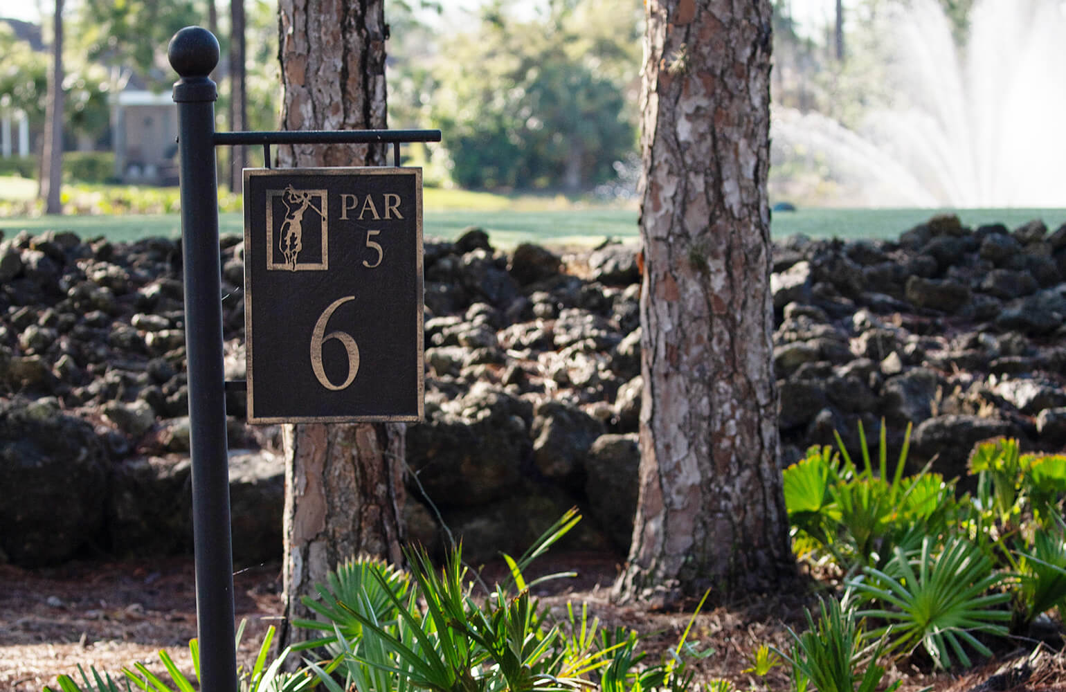 Hole 6